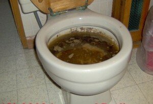 забитый унитаз